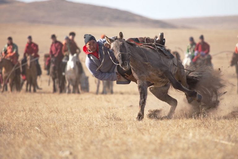 “Талын жавхаа 2026” адууны соёлын өдөрлөг болно