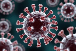 ЭМЯ: Нипах вирусийн халдварын эсрэг вакцин, вирусийн эсрэг эмчилгээ одоогоор байхгүй