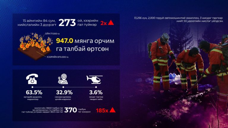 Түймрийн 32.9 хувийг сансрын дулааны цэгийн мэдээллээр, 3.6 хувийг нисдэг тэргээр илрүүлжээ