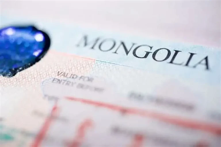 ГИХГ 2025 онд 124,945 гадаадын иргэнд виз олгожээ