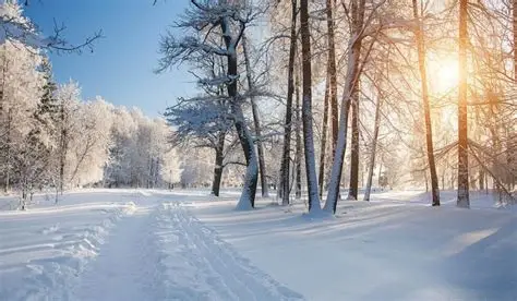 Нутгийн баруун хэсгээр хүйтний эрч суларна