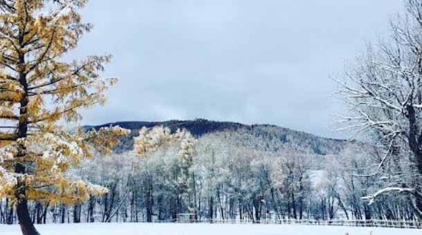 Өнөөдөр нийт нутгаар цаг агаар тогтуун байна