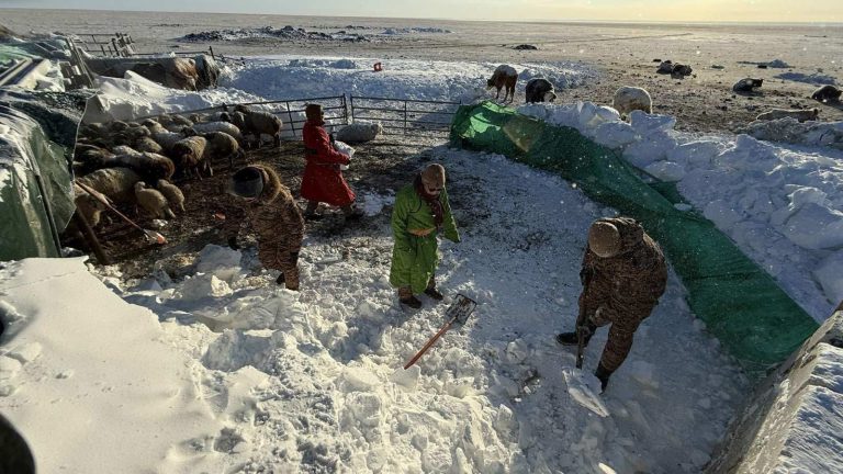 Цэргийн алба хаагчид Халхгол сумын 50 гаруй малчдад туслаад байна