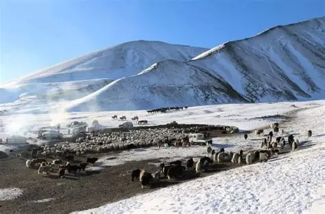 Цасан бүрхүүлийн хэмжээг өмнөх арван хоногтой харьцуулахад 14 хувиар буурсан байна