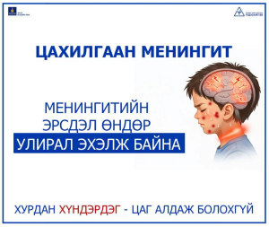 ЭМЯ: Менингитийн эрсдэл өндөр улирал эхэлж байна