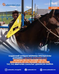 Хурдан морины сэрвээний өндөрт өөрчлөлт орууллаа